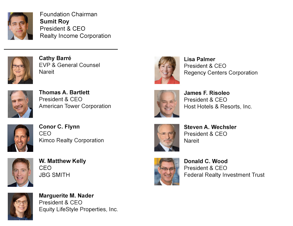 DDEI Council members