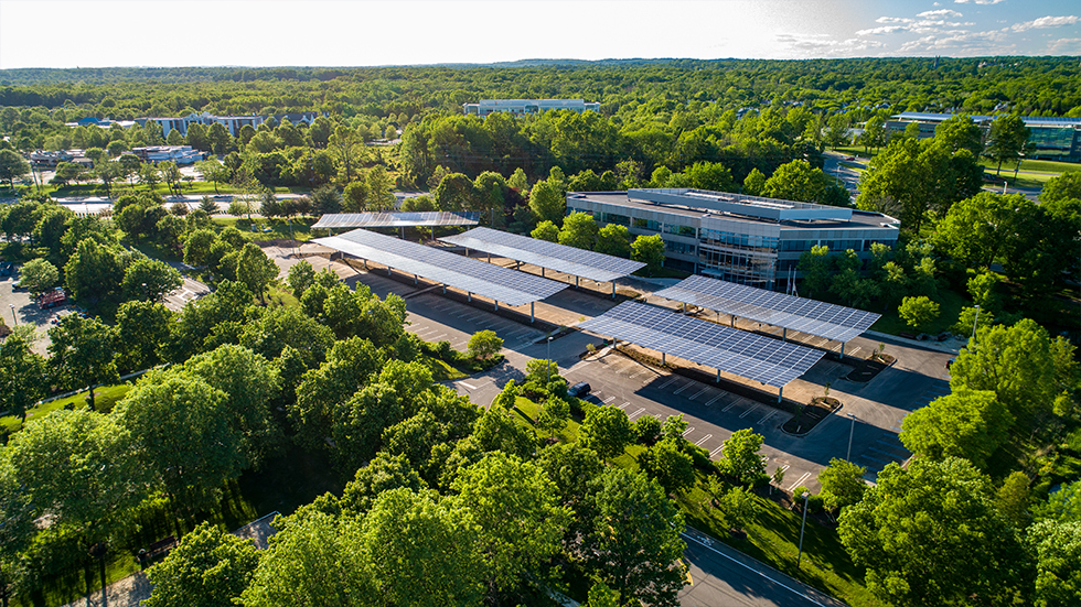 Rooftop of a building surrounded by trees