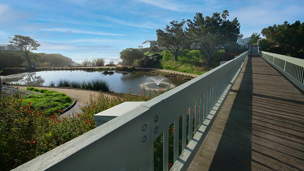 A bridge overlooking a pond.