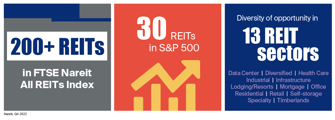 More than 200 REITs are included in the the FTSE Nareit U.S. All Equity REIT Index