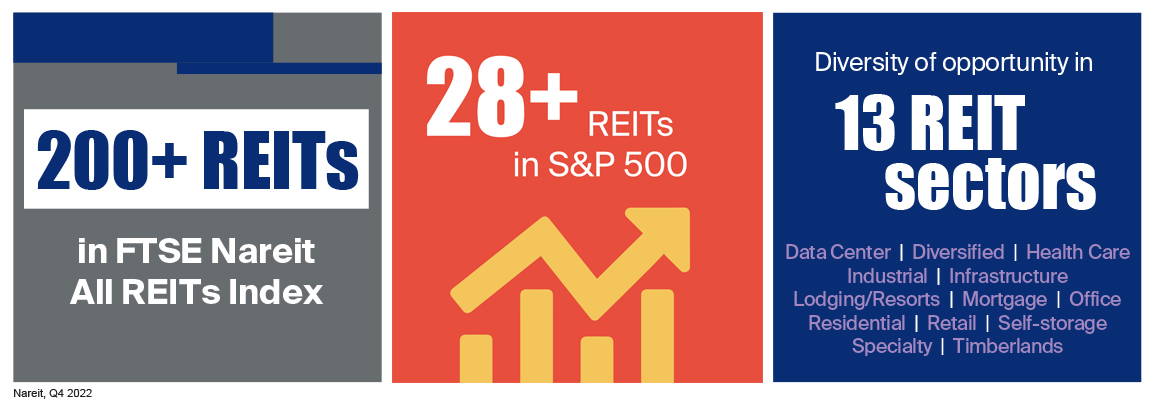 200+ REITS in the FTSE Nareit All REITs Index