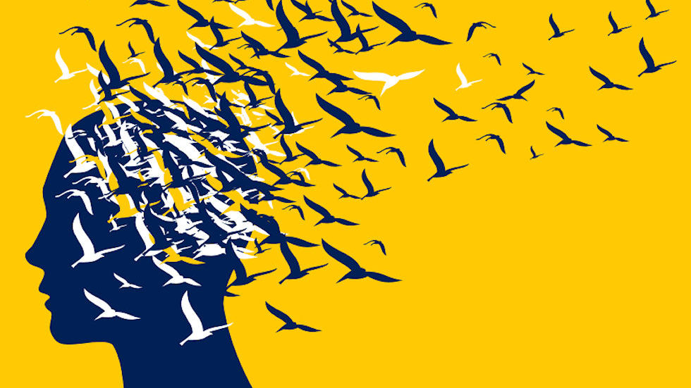 Artistic rendering of change seen as birds in flight.