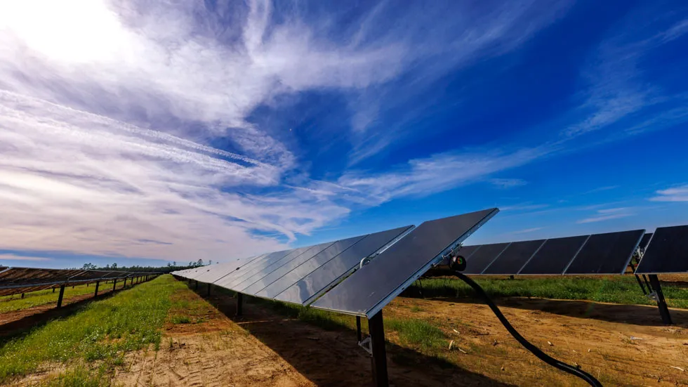Some acreage may generate value through utility-scale solar projects, carbon capture and storage, or other land-based solutions. (photo courtesy of Rayonier)