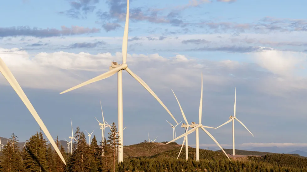 Windfarm