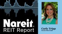 Carly Tripp
