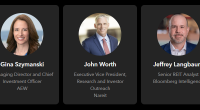 Bloomberg Intelligence-Nareit webinar panelists