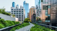 Rooftop with foliage