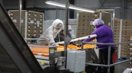 Americold
