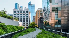 Rooftop with foliage
