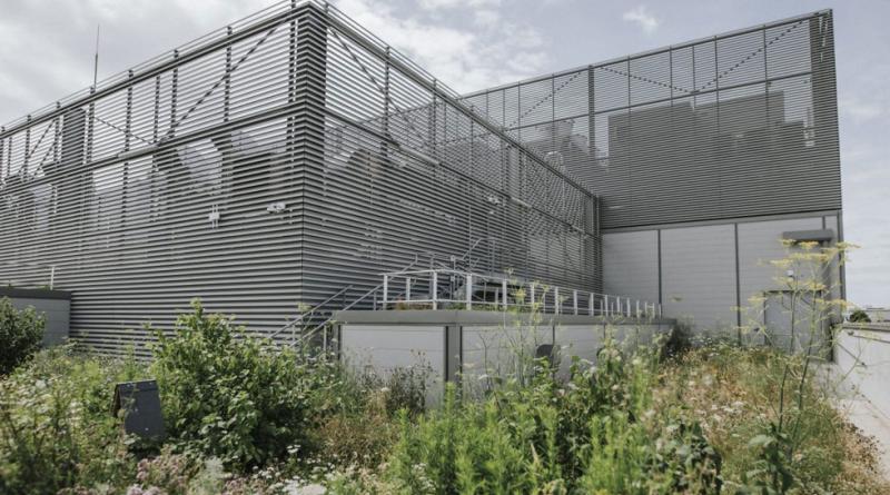 Equinix Green Roof