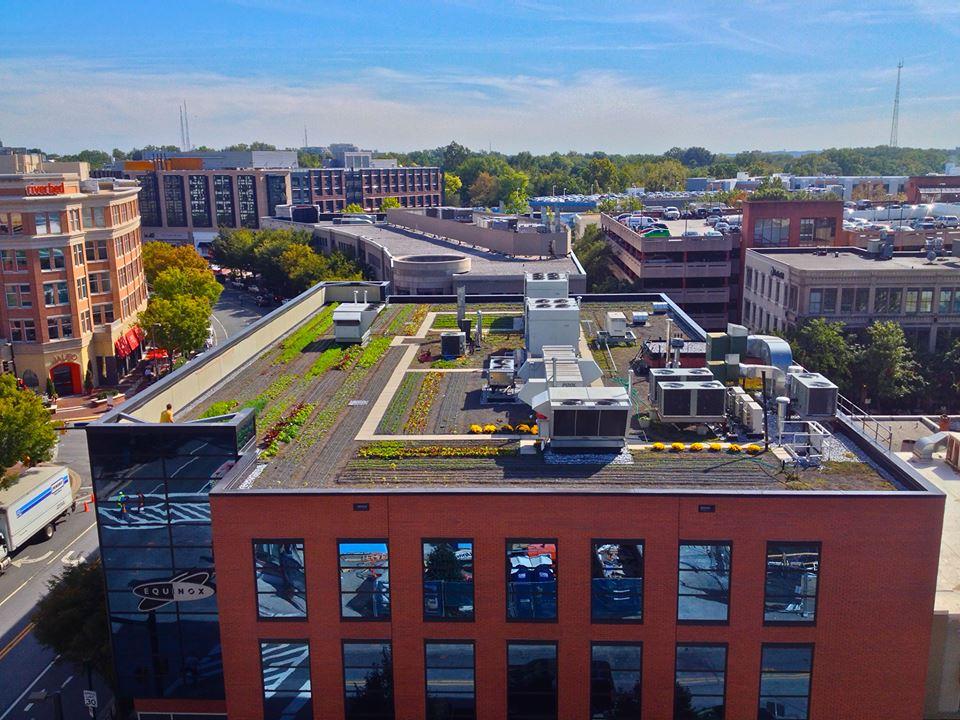 A rooftop farm in Bethesda, MD