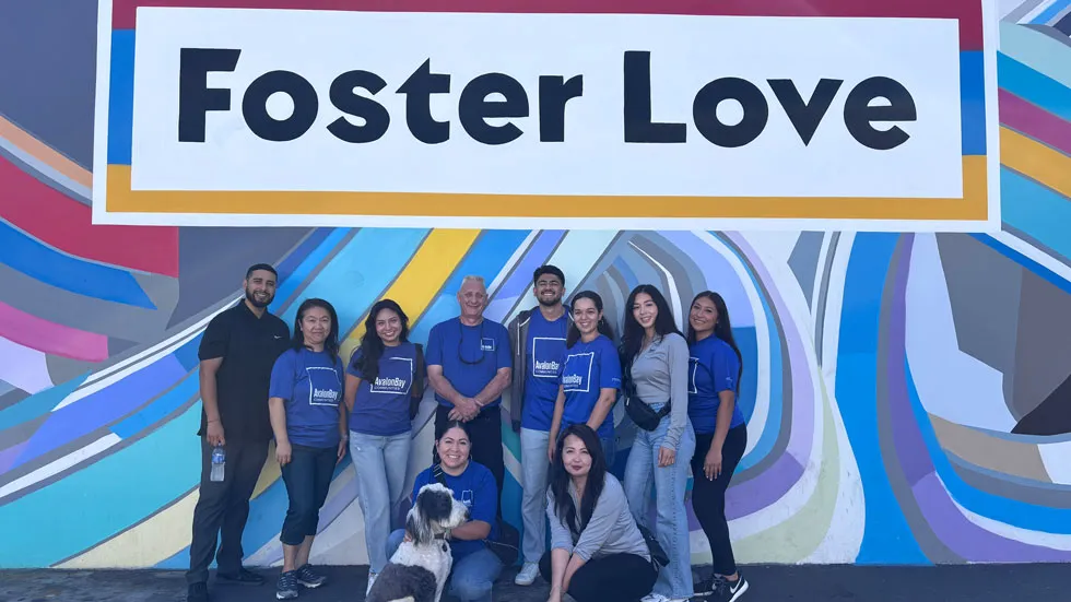 Foster Love