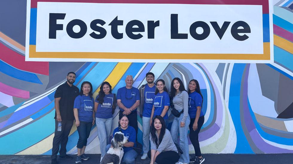 Foster Love