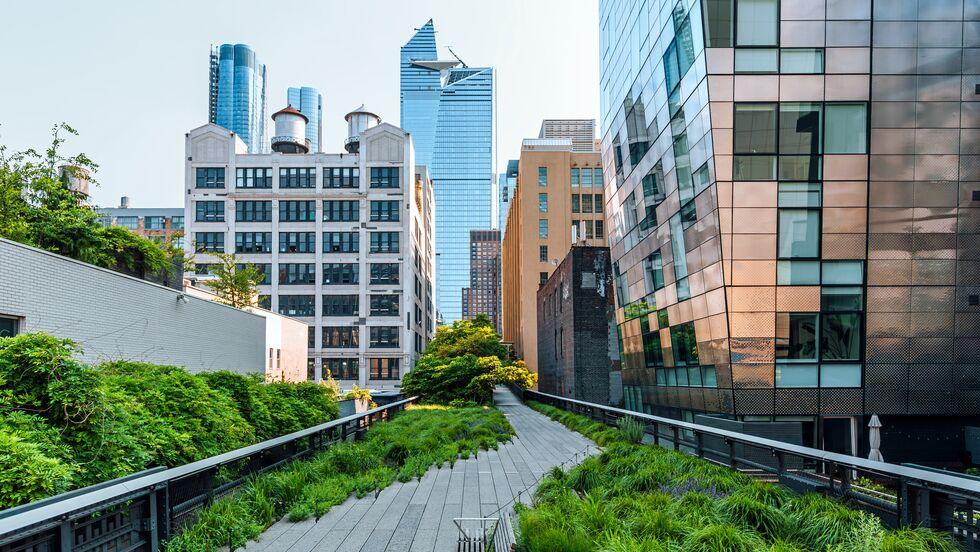 Rooftop with foliage