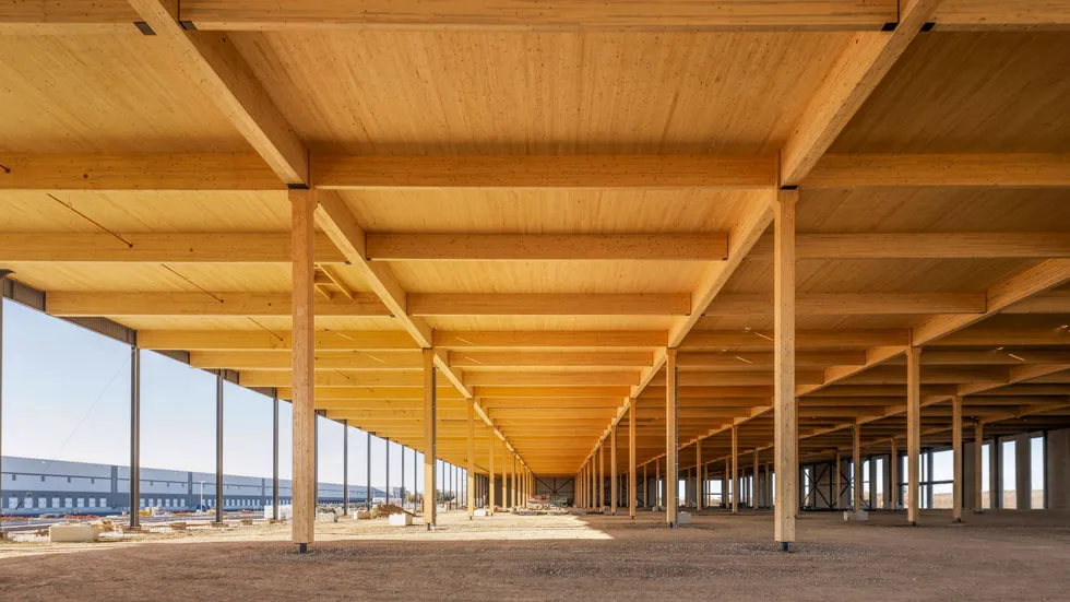 Mass Timber