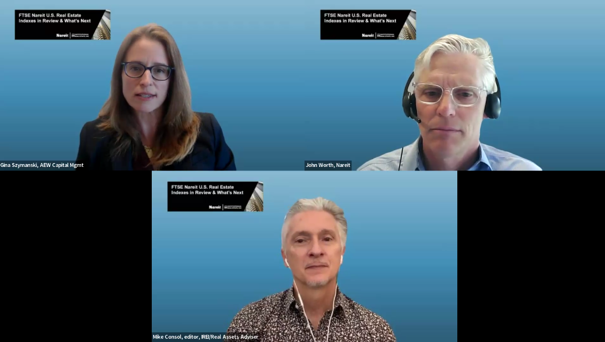 IREI webinar panelists