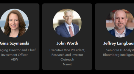 Bloomberg Intelligence-Nareit webinar panelists