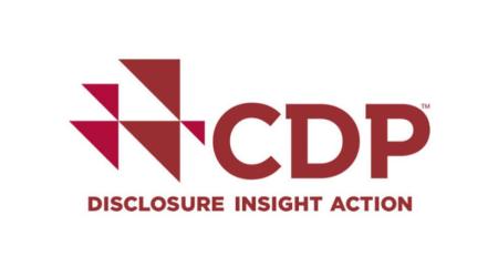 CDP logo