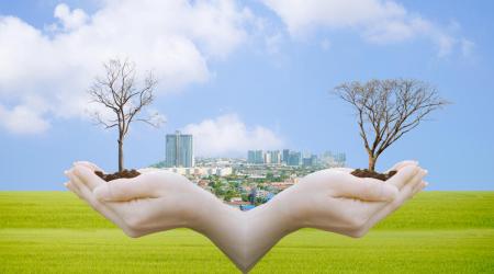 A stock image shows trees being nurtured with a city skyline in the background.