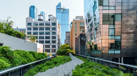 Rooftop with foliage