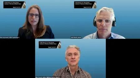 IREI webinar panelists