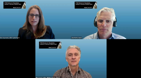 IREI webinar panelists