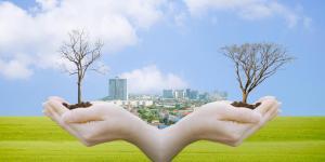 A stock image shows trees being nurtured with a city skyline in the background.